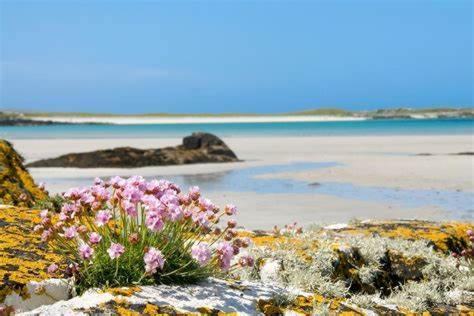 Wild Atlantic Stay Guest House Self-Catering Inverin Esterno foto